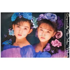 Wink(ウィンク) ポスター Especially For You 優しさにつつまれて 鈴木早智子 相田翔子 1989　 B1 大型