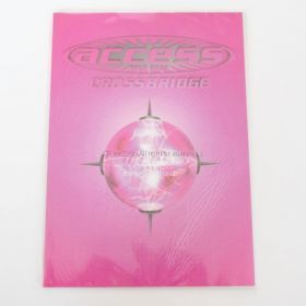 access(アクセス) tour 2002 パンフレット