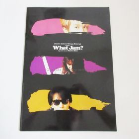 access(アクセス) 浅倉大介 パンフレット Daisuke Asakura・Tetsuya Katsuragi What Jam? 葛城哲哉 1995年