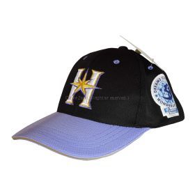 DREAMS COME TRUE(ドリカム) 史上最強の移動遊園地 WONDERLAND 2015 WLHS2015 レプリカキャップ ドリカム×ファイターズver. 北海道日本ハム