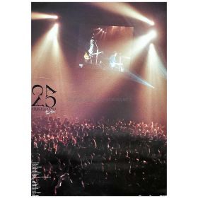 CHAGE&ASKA(チャゲアス) ポスター CONCERT TOUR 2004 two-five