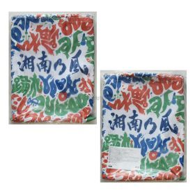 湘南乃風(しょうなんのかぜ) その他 折りたたみ椅子 チェアー トートバッグ付き 踊れ 非売品