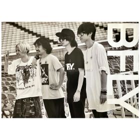 BUMP OF CHICKEN(バンプ) ポスター TOUR 2016 BFLY タワーレコード ver