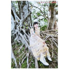 BanG Dream!(バンドリ！) 工藤晴香 写真集 910hr HMV限定特典 B Roselia（ロゼリア)　