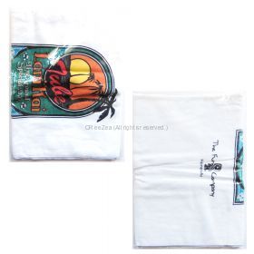 TUBE(チューブ) LIVE AROUND SPECIAL June 1 2000 in ALOHA STADIUM  スポーツタオル ホノルル ハワイ