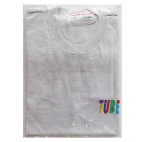 TUBE(チューブ) LIVE AROUND in ARENA '94 冬でごめんね Tシャツ グレー 胸ロゴ