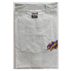 TUBE(チューブ) LIVE AROUND '95 KEEP・HOPE・ALIVE Tシャツ グレー 胸ロゴ TUBE(チューブ) LIVE AROUND '95 KEEP・HOPE・ALIVE Tシャツ グレー 胸ロゴ