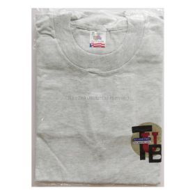 TUBE(チューブ) LIVE AROUND '96 ONLY GOOD TIMES Tシャツ グレー 胸ロゴ