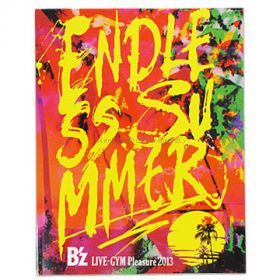 B'z(ビーズ) LIVE-GYM Pleasure 2013 -ENDLESS SUMMER- パンフレット