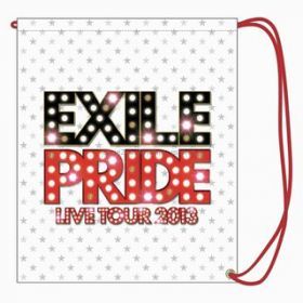 EXILE(エグザイル) EXILE LIVE TOUR 2013 “EXILE PRIDE” 追加公演 EXILE PRIDE エコバッグ（中）