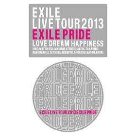 EXILE(エグザイル) EXILE LIVE TOUR 2013 “EXILE PRIDE” グラフィック　ノンスリップマット2枚セット