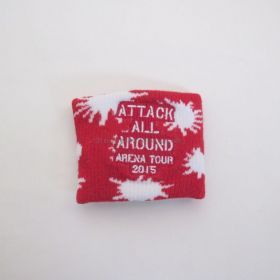 AAA(トリプルエー) AAA ARENA TOUR 2015 10th Anniversary -Attack All Around- リストバンド(赤) AAA(トリプルエー) AAA ARENA TOUR 2015 10th Anniversary -Attack All Around- リストバンド(赤)