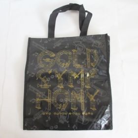 AAA(トリプルエー) ARENA TOUR 2014 -Gold Symphony- テイクアウトバッグ