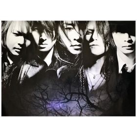 LUNA SEA(ルナシー) ポスター LUNA SEA アルバム 2011 購入特典