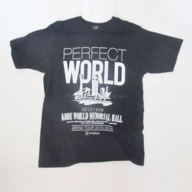 SCANDAL(スキャンダル) ARENA TOUR 2015-2016 「PERFECT WORLD」 Tシャツ ブラック ～KOBE ver.～神戸限定