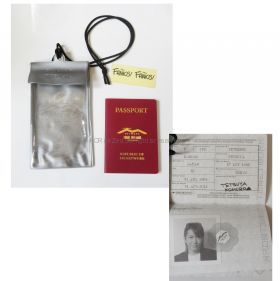 TM NETOWORK(TMN) FINAL MISSION -START investigation- 永遠のパスポート (小室哲哉)