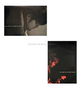 ポルノグラフィティ(porno) 14thライヴサーキット "The dice are cast" 7th LIVE CIRCUIT SWITCH 写真集 特典ポスター