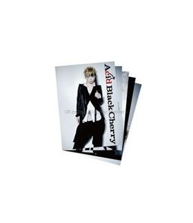 Acid BREAKERZ Cherry 69-sixnine- ポストカードA