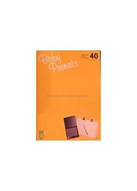 aiko(アイコ) ファンクラブ会報 Baby Peenats vol.040