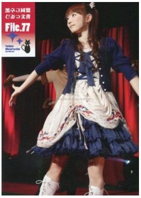 堀江由衣ファンクラブ会報55号〜66号プラス4冊 - その他