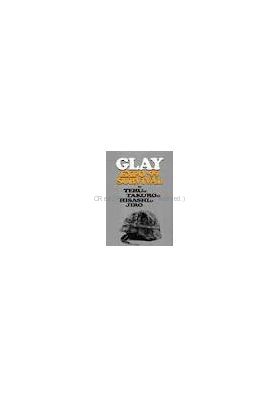 GLAY(グレイ) EXPO '99 SURVIVAL パンフレット