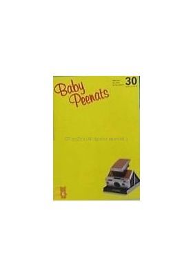 aiko(アイコ) ファンクラブ会報 Baby Peenats vol.030
